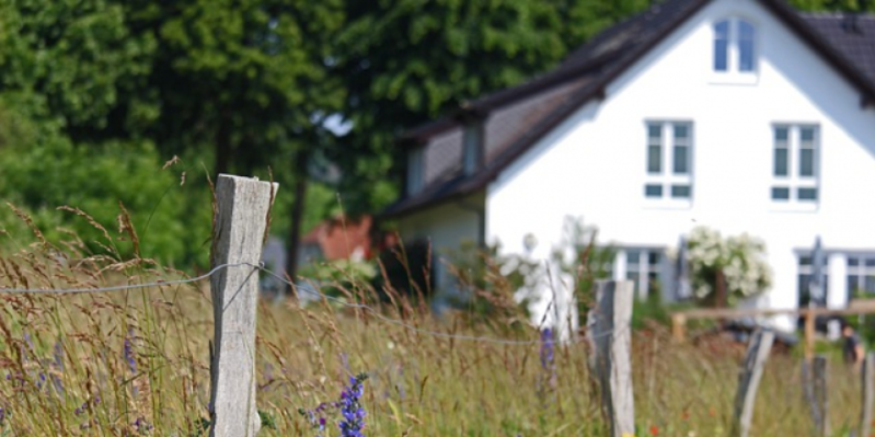 Как получить «Дальневосточный гектар» - 2020-12-14 19:00:00 - 1