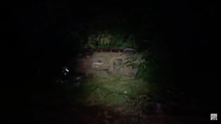 Четыре человека погибли и один пострадал при столкновении автомобиля с лосем в Островском районе (ВИДЕО) - 2020-09-05 09:26:00 - 1