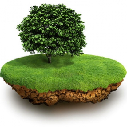 Комитет по управлению государственным имуществом Псковской области сообщает о возможности предоставления в аренду земельных участков в Себежском районе - 2019-07-11 18:24:00 - 1