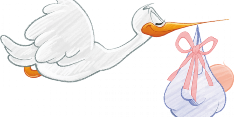 753 великолукские семьи получили сертификаты на МСК с начала года - 2020-12-08 10:43:00 - 1