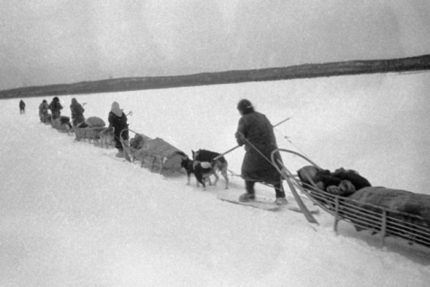 Год памяти и славы: О вкладе охотников в продовольственную и экспортную безопасность страны в годы ВОВ - 2020-04-03 14:16:00 - 1