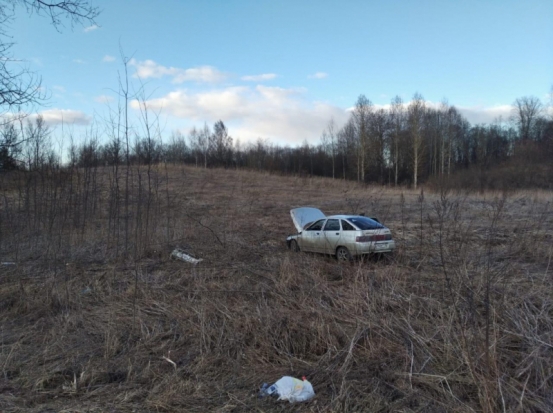 Пьяный водитель улетел в кювет в Новосокольническом районе (ФОТО) - 2020-03-23 08:56:00 - 1