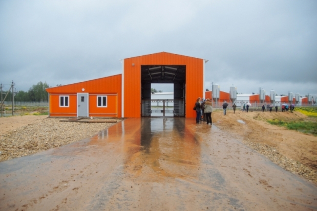 Быть или не быть мегасвинокомплексу в Поречье? (ФОТО) - 2016-05-20 16:48:00 - 1