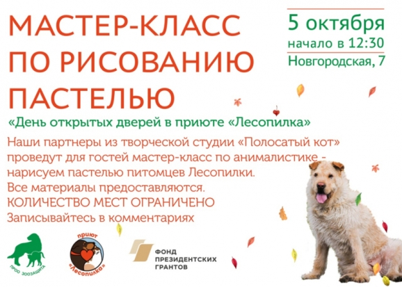 В зооприюте «Лесопилка» пройдет день открытых дверей - 2019-09-30 20:34:00 - 1