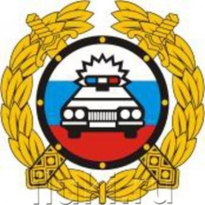 В Новосокольниках автоинспекторы провели акцию «Дорожная безопасность - в руках каждого!» - 2019-06-10 18:41:00 - 1