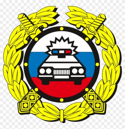 Нетрезвого водителя «Волги» задержали в Псковском районе - 2020-03-24 16:48:00 - 1