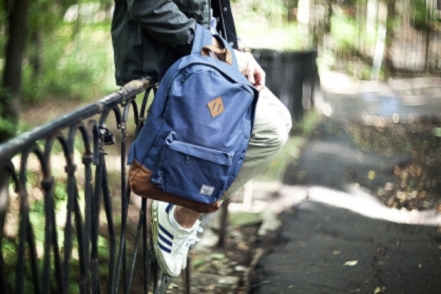 В городе Луге Ленинградской области возбуждено уголовное дело по факту похищения несовершеннолетней - 2016-12-23 09:46:00 - 1