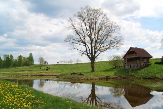 Едем на дачу: отдыхать или трудиться? - 2019-08-05 15:37:00 - 1