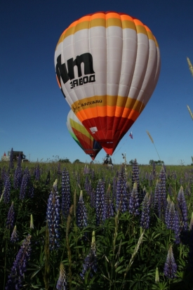 Более пятидесяти пилотов подали заявки на участие в соревнованиях в «стране люпинов» (ФОТО) - 2016-06-01 17:11:00 - 1