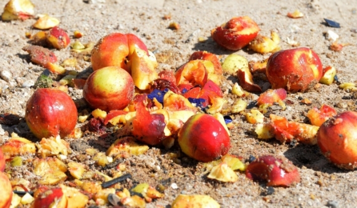 На рынке в Великих Луках торговали санкционными польскими томатами и испанскими персиками - 2016-07-03 18:01:00 - 1