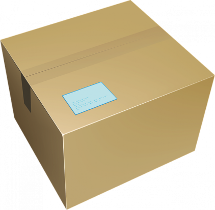 Из-за подозрительного предмета в кадетской школе в Великих Луках эвакуировали учащихся и педагогов - 2020-03-02 11:30:00 - 1