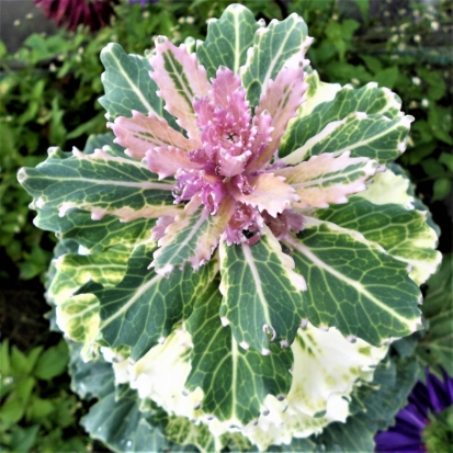 Прогноз погоды на 14 сентября по Псковскому региону и Великим Лукам - 2018-09-13 22:02:00 - 1