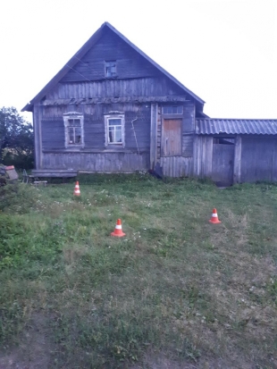 Лежащий в траве мужчина получил перелом грудной клетки после наезда на него автомобиля (ФОТО) - 2020-08-03 11:19:00 - 1