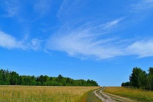 Прогноз погоды на 5 августа в Псковской области - 2019-08-05 06:02:00 - 1