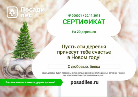 На Новый год можно подарить лес - 2018-12-26 16:52:00 - 1