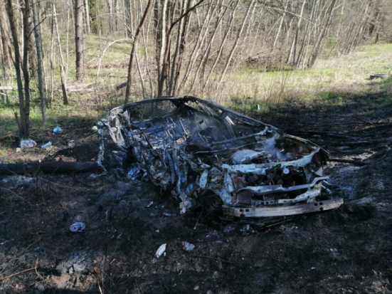 Автомобиль сгорел в результате ДТП в Великолукском районе (ФОТО) - 2020-05-01 16:58:00 - 1