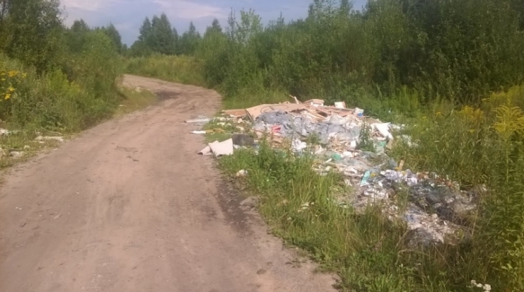 ФОТО: Великолучанин жалуется на очередную стихийную свалку мусора в районе Дружбы и деревни Максимово - 2018-07-31 12:29:00 - 1