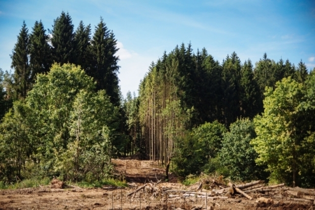 Строящийся велоцентр продолжает вызывать озабоченность у жителей Великих Лук - 2018-10-16 17:56:00 - 1