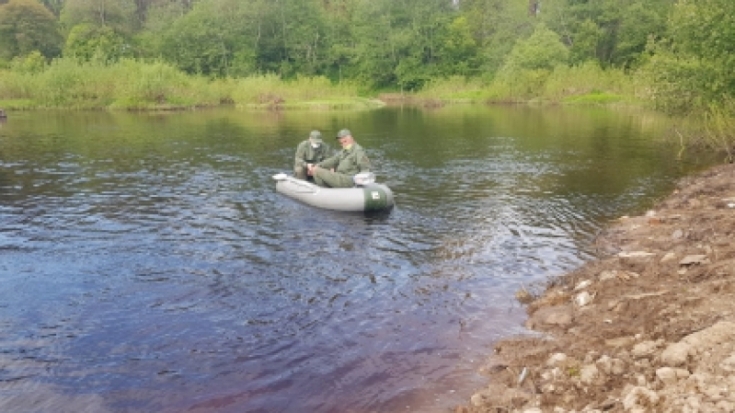 В Островском районе проводится проверка по факту гибели несовершеннолетней девочки на воде, поиски ее сверстницы продолжаются - 2020-05-29 11:46:00 - 1