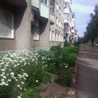 Завтра в Великих Луках днем ожидается до +16°С - 2016-06-04 22:02:00 - 1