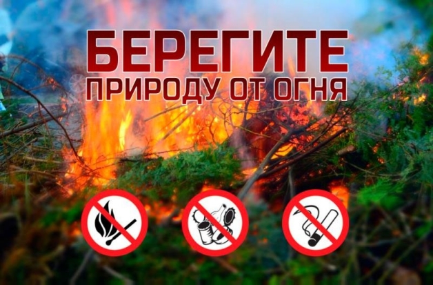 МЧС Псковской области: Берегите природу от пожаров! - 2020-04-10 17:28:00 - 1