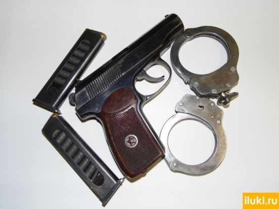 Полиция напоминает великолучанам о несовместимости алкоголя и оружия - 2016-05-06 09:00:00 - 1