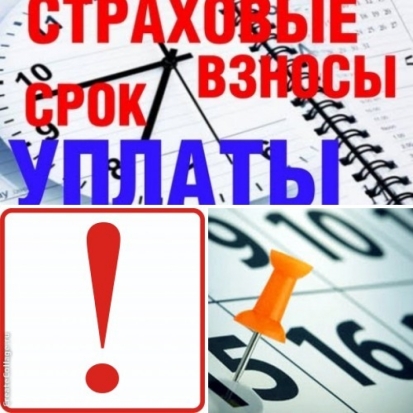 Уплату страховых взносов и взыскание задолженности обсуждали на заседании комиссии в Великих Луках - 2016-08-17 07:33:00 - 1