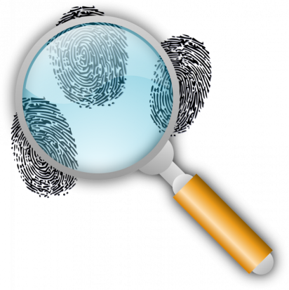 Родственники женщины, сбитой в Псковском районе, разыскивают свидетелей - 2020-01-28 10:48:00 - 1