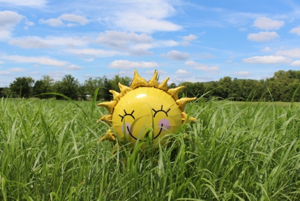 Прогноз погоды в Псковской области на 10 августа - 2019-08-10 08:02:00 - 1