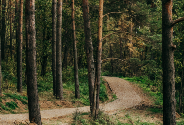 ФОТОРЕПОРТАЖ: Новый парк в Великих Луках, создающийся по программе приграничного сотрудничества - 2020-10-06 14:00:00 - 1