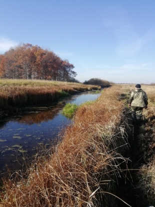 Родственники рыбака, пропавшего под Великими Луками, нашли его пакет и обломки удочки - 2018-10-18 15:06:00 - 1