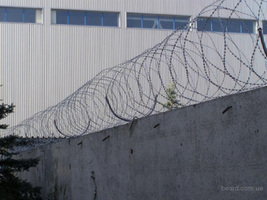 Житель Пыталовского района приговорен судом к лишению свободы за покушение на убийство своего сына - 2016-09-30 10:28:00 - 1