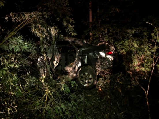 Подробности смертельной аварии в Невельском районе (+фото с места происшествия) - 2020-08-12 23:44:00 - 1