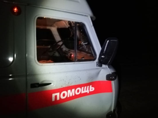 Автомобиль скорой помощи столкнулся с диким животным и врезался в микроавтобус: ДТП в Великолукском районе (ФОТО) - 2019-09-10 12:43:00 - 1