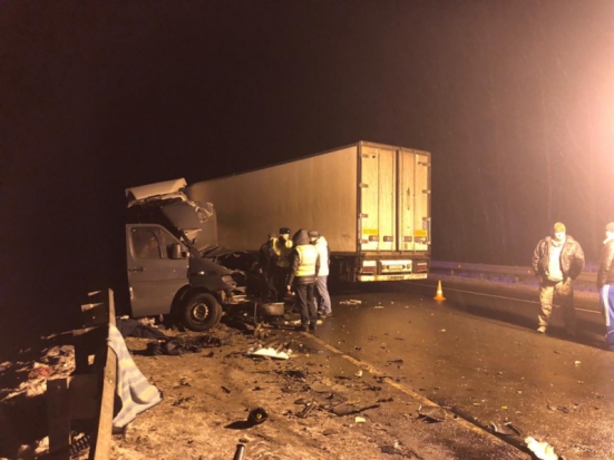 Глава Псковской области держит на личном контроле ситуацию в связи с ДТП в Пустошкинском районе - 2020-02-13 09:43:00 - 1