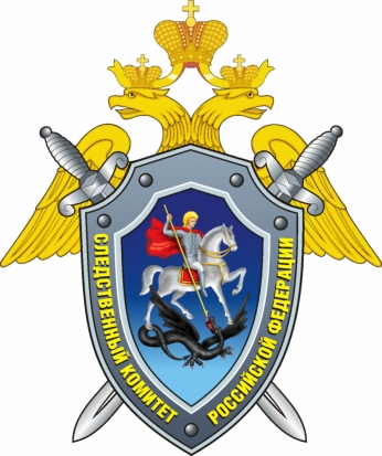 В Нижегородской области возбуждено уголовное дело о похищении малолетнего ребенка - 2019-06-14 08:38:00 - 1