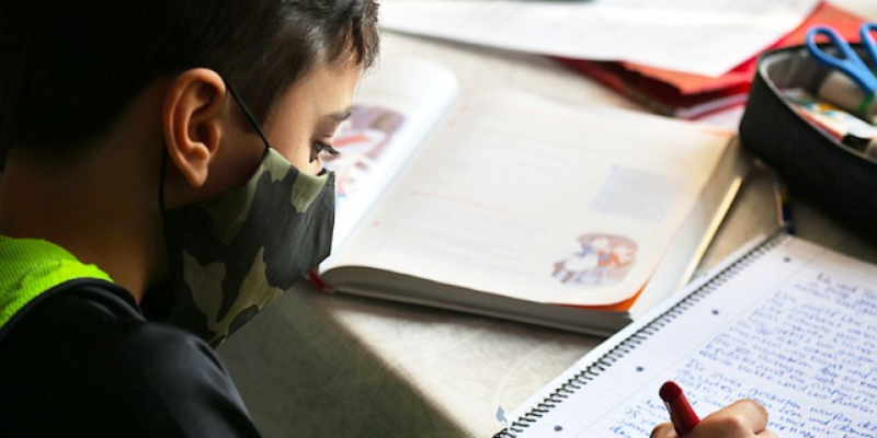 Глава города Великие Луки о переводе школьников на дистанционку - 2020-12-15 10:42:00 - 1