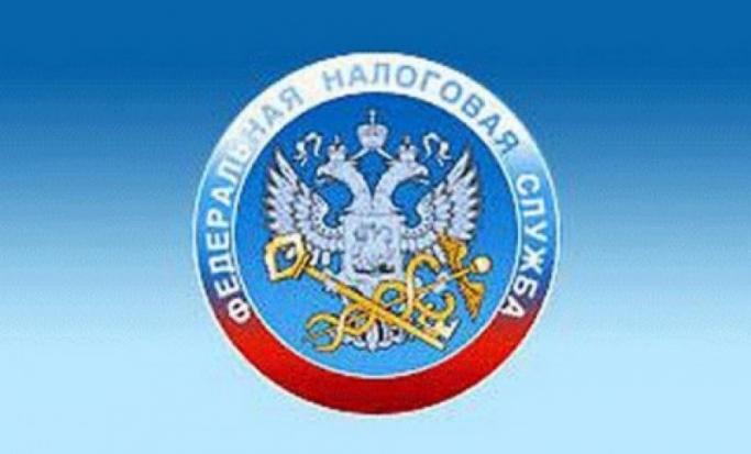 В Псковской области сотрудники налоговой службы выявляют незаконных предпринимателей - 2019-08-29 11:36:00 - 1