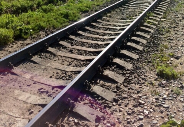 Великолучанка приглашает чиновников прогуляться вместе с ней и ее ребёнком - 2018-09-03 08:21:00 - 1