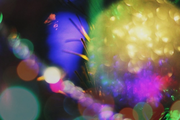 Сегодня в Великие Луки привезут Главную ёлку - 2019-12-18 13:26:00 - 1