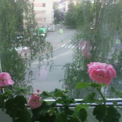 Завтра в Великих Луках днем ожидается до +24°С - 2016-06-02 21:44:00 - 1