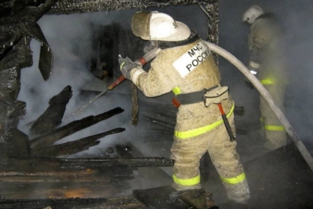 12 пожарных тушили надворные постройки в Невеле - 2020-02-21 07:34:00 - 1