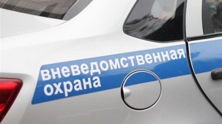 В Пскове росгвардейцы задержали граждан, подозреваемых в хищении из магазина - 2020-01-28 19:51:00 - 1