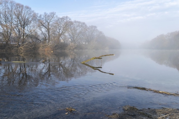 Год памяти и славы: как один человек и одна река две армии спасли - 2020-05-21 10:41:00 - 1