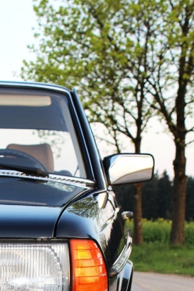 Сотрудники ГИБДД Псковской области задержали двух водителей «под градусом» - 2019-08-26 15:03:00 - 1