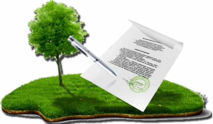 Комитет по управлению государственным имуществом Псковской области сообщает о возможности предоставления земельных участков в Себежском районе - 2019-06-14 07:08:00 - 1