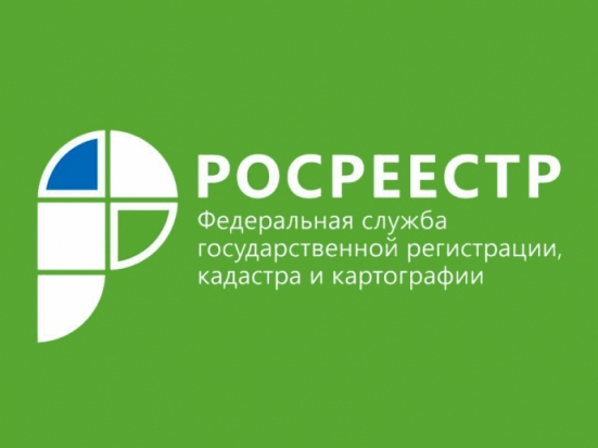 Псковский Росреестр провел «горячую линию» - 2020-01-22 10:46:00 - 1