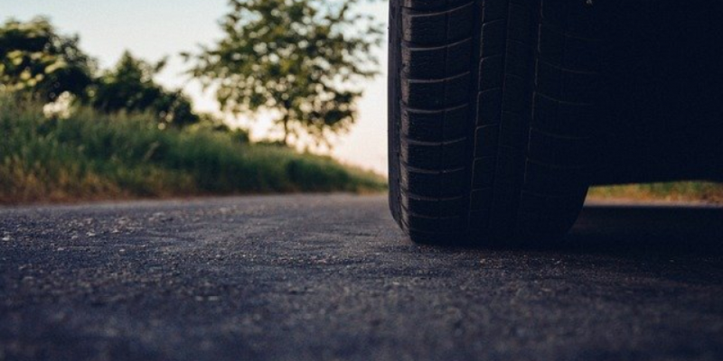 Великолучанин попал под колеса, уворачиваясь от падающей с дерева ветки - 2020-12-11 12:36:00 - 1