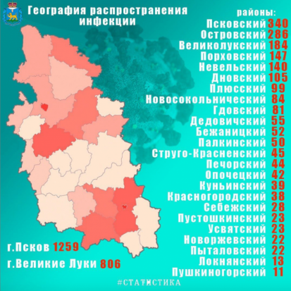 В Великих Луках участились случаи заболевания коронавирусом - 2020-08-12 12:00:00 - 1