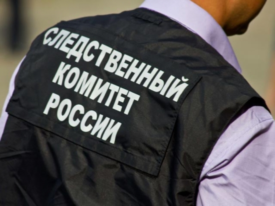 Следователи СК Псковской области приняли участие в Дне правовой помощи детям - 2019-11-21 12:06:00 - 1